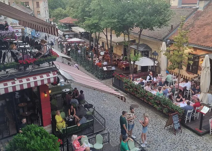 Auberge de jeunesse Up *